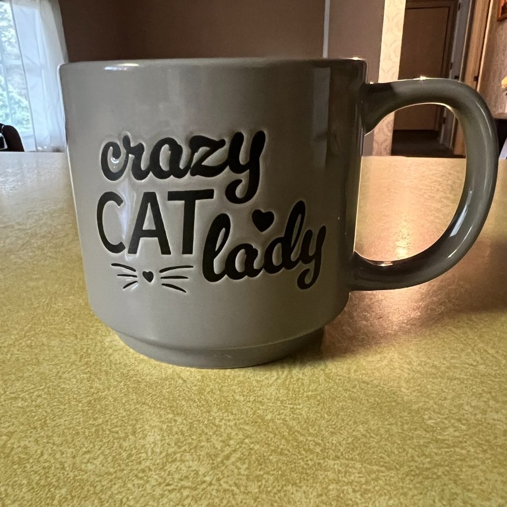 Dark Gray "Crazy Cat Lover" Ceramic Mug - Whiskers & Hearts